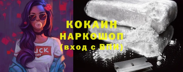 гидра Михайлов