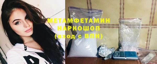 сатива Анжеро-Судженск