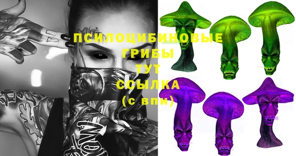 гидра Михайлов