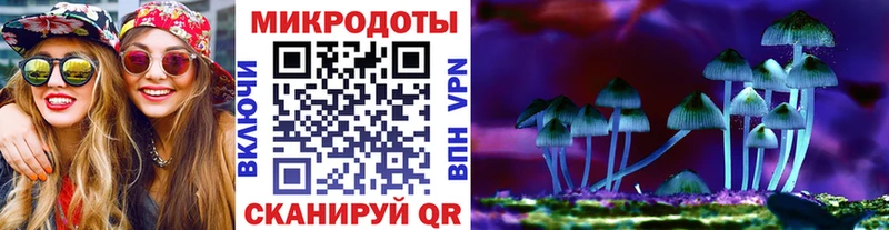 Псилоцибиновые грибы прущие грибы  продажа наркотиков  Чёрмоз 